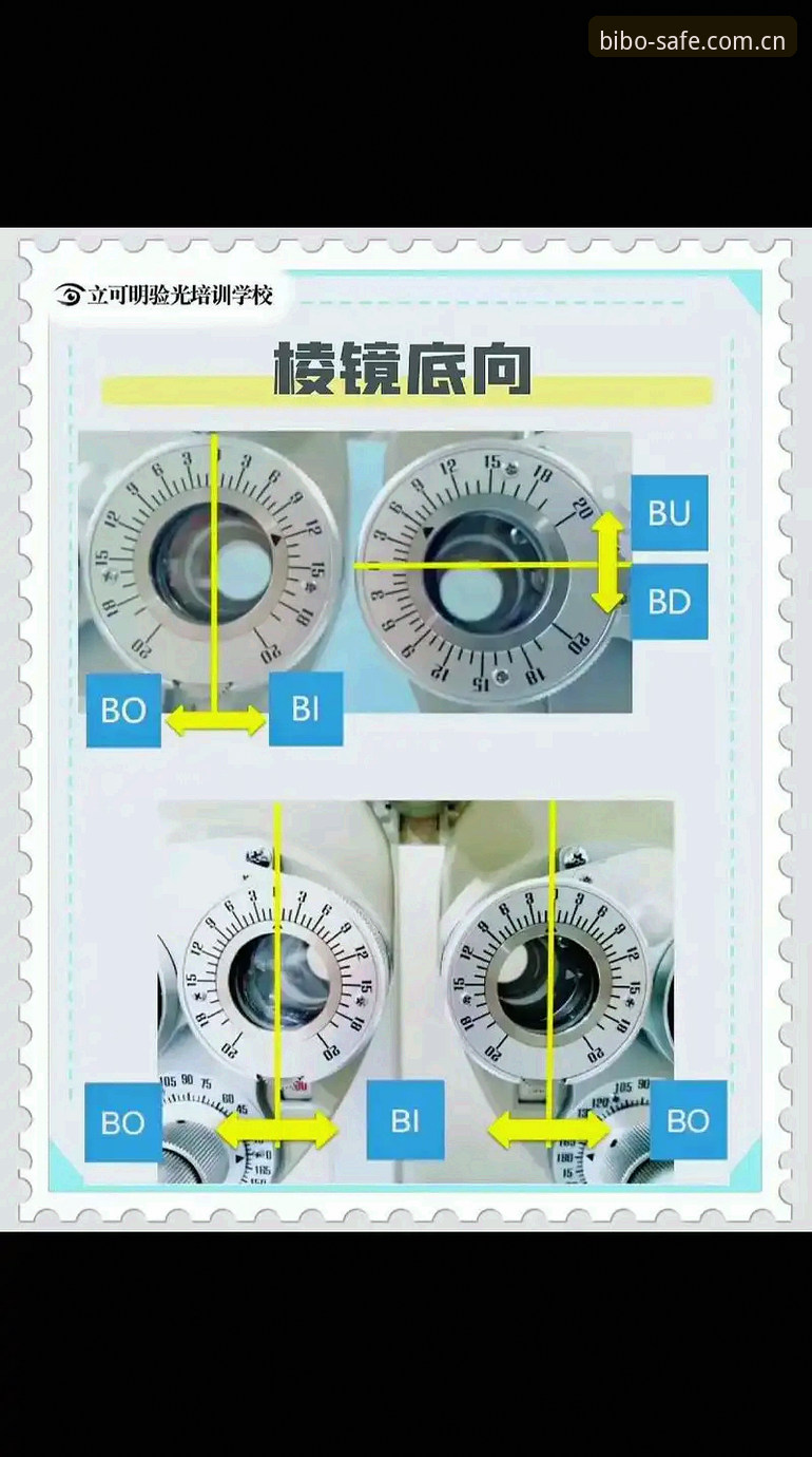 深度揭秘：BIBO安全吗？实战派玩家告诉你背后的真相