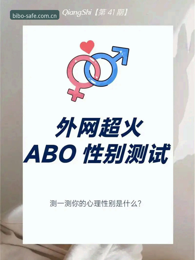 深度揭秘：BIBO安全吗？实战派玩家告诉你背后的真相
