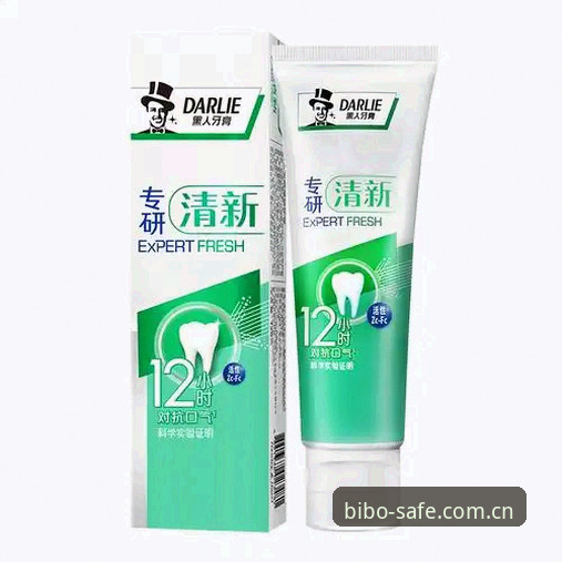 必博全站平台BIBO下载体验深度分析：从安装到使用的全面解读